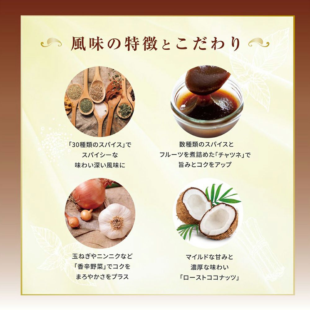 カレー専門店のカレールー（カレールウ） 中辛／チャック付袋タイプ
