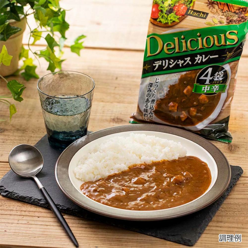 デリシャスカレー 中辛／レトルトカレー 1人前 170g×4袋×12個セット