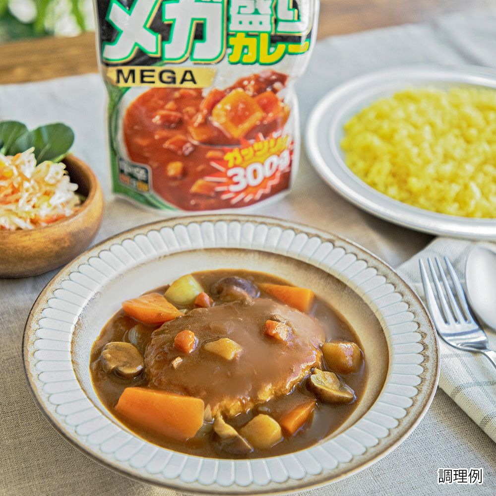 カレー 各種 計35個 ボリュームたっぷり！】メガ盛りカレー 中辛／レトルトカレー 1人前